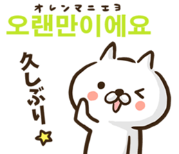 Korean cat! sticker #12591882