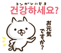 Korean cat! sticker #12591883