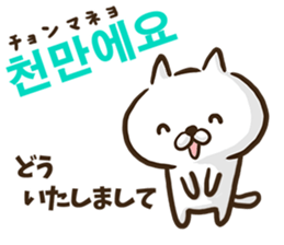 Korean cat! sticker #12591885