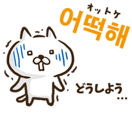 Korean cat! sticker #12591887