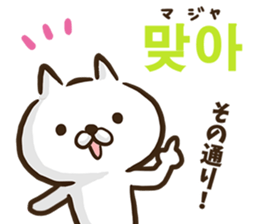 Korean cat! sticker #12591889