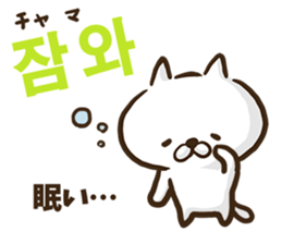 Korean cat! sticker #12591894