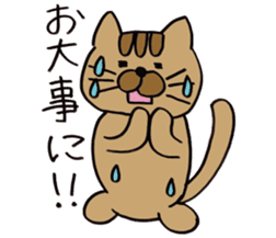Daily life of a brown cat sticker #12593621