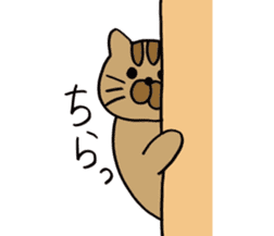 Daily life of a brown cat sticker #12593629