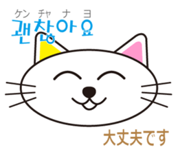 polite Toki & Poki (Korean & Japanese) sticker #12593725