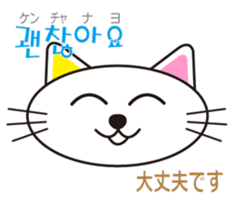 polite Toki & Poki (Korean & Japanese) sticker #12593725