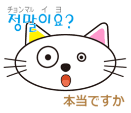 polite Toki & Poki (Korean & Japanese) sticker #12593726