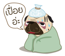 Kaoneaw The Pug sticker #12595425