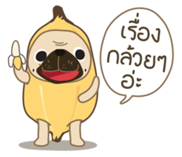Kaoneaw The Pug sticker #12595437