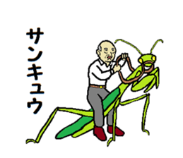 Be thankful 4 sticker #12597110