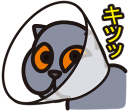 BRIKO sticker #12598835