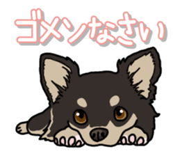 Chihuahua's everyday sticker #12599478