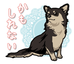 Chihuahua's everyday sticker #12599479