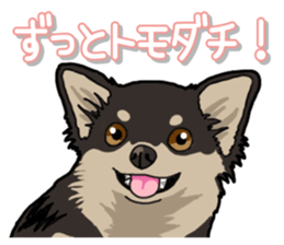 Chihuahua's everyday sticker #12599483