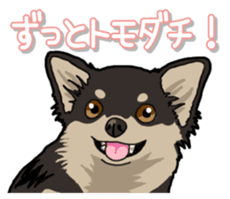 Chihuahua's everyday sticker #12599483