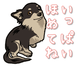 Chihuahua's everyday sticker #12599488