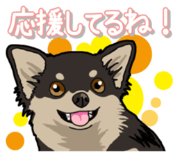 Chihuahua's everyday sticker #12599503