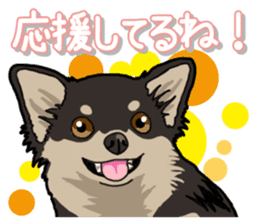 Chihuahua's everyday sticker #12599503