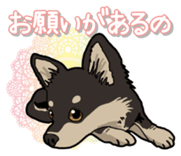 Chihuahua's everyday sticker #12599504