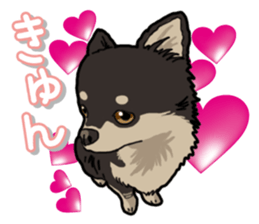 Chihuahua's everyday sticker #12599514