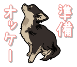 Chihuahua's everyday sticker #12599517