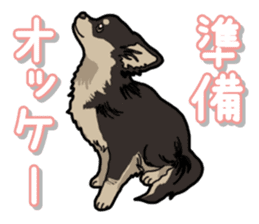 Chihuahua's everyday sticker #12599517