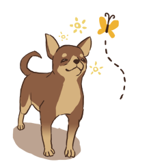 Droopy-eyed Chihuahua and cat