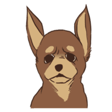 Droopy-eyed Chihuahua and cat sticker #12600118