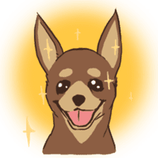 Droopy-eyed Chihuahua and cat sticker #12600119