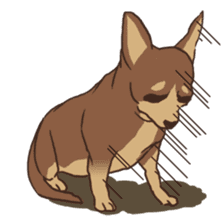 Droopy-eyed Chihuahua and cat sticker #12600122