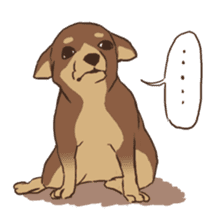 Droopy-eyed Chihuahua and cat sticker #12600126