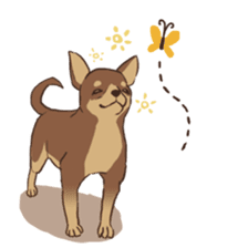 Droopy-eyed Chihuahua and cat sticker #12600130