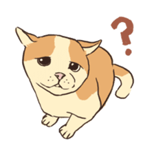 Droopy-eyed Chihuahua and cat sticker #12600133