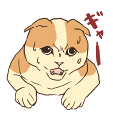 Droopy-eyed Chihuahua and cat sticker #12600134