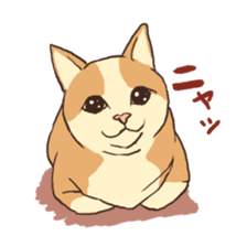 Droopy-eyed Chihuahua and cat sticker #12600139