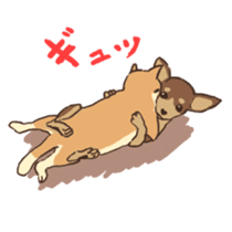 Droopy-eyed Chihuahua and cat sticker #12600149