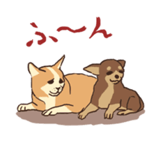 Droopy-eyed Chihuahua and cat sticker #12600151