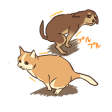 Droopy-eyed Chihuahua and cat sticker #12600153
