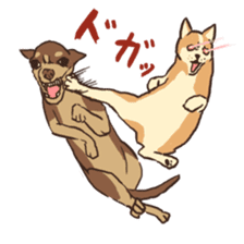 Droopy-eyed Chihuahua and cat sticker #12600154
