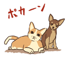 Droopy-eyed Chihuahua and cat sticker #12600155