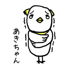 Akichan bird sticker #12600985