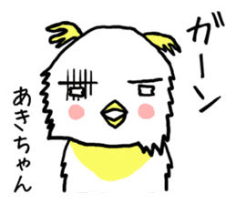 Akichan bird sticker #12600995
