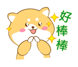 Cute Shiba Inu with its new friend ! sticker #12602408