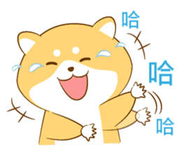 Cute Shiba Inu with its new friend ! sticker #12602417