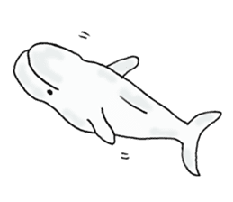 LOVE Belugas sticker #12603312