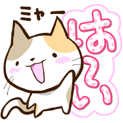 Slapstick tortoiseshell cat