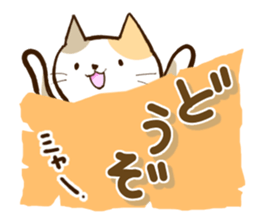 Slapstick tortoiseshell cat sticker #12603737
