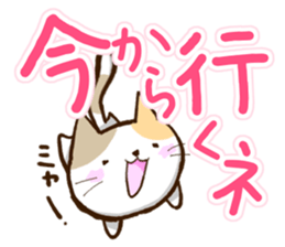 Slapstick tortoiseshell cat sticker #12603750