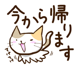 Slapstick tortoiseshell cat sticker #12603751