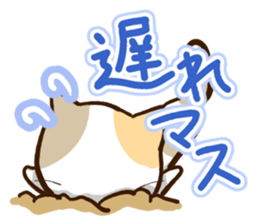 Slapstick tortoiseshell cat sticker #12603752